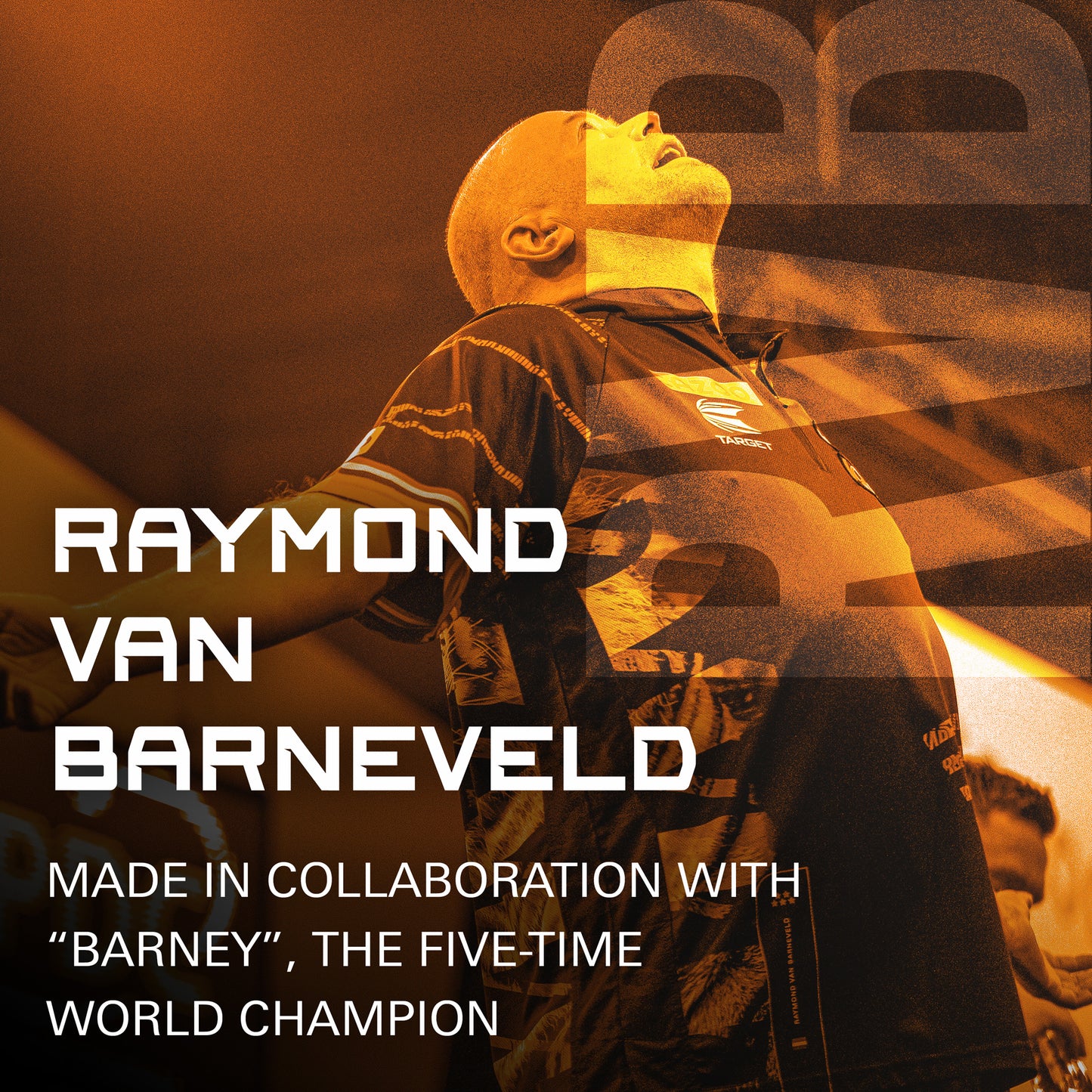 TARGET RAYMOND VAN BARNEVELD K-FLEX FLIGHTS NO2