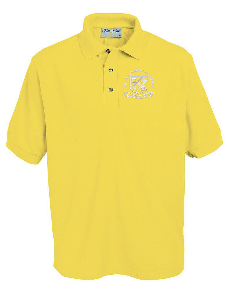 ST MATTHEW'S PE POLO-HOUSE COLOURS
