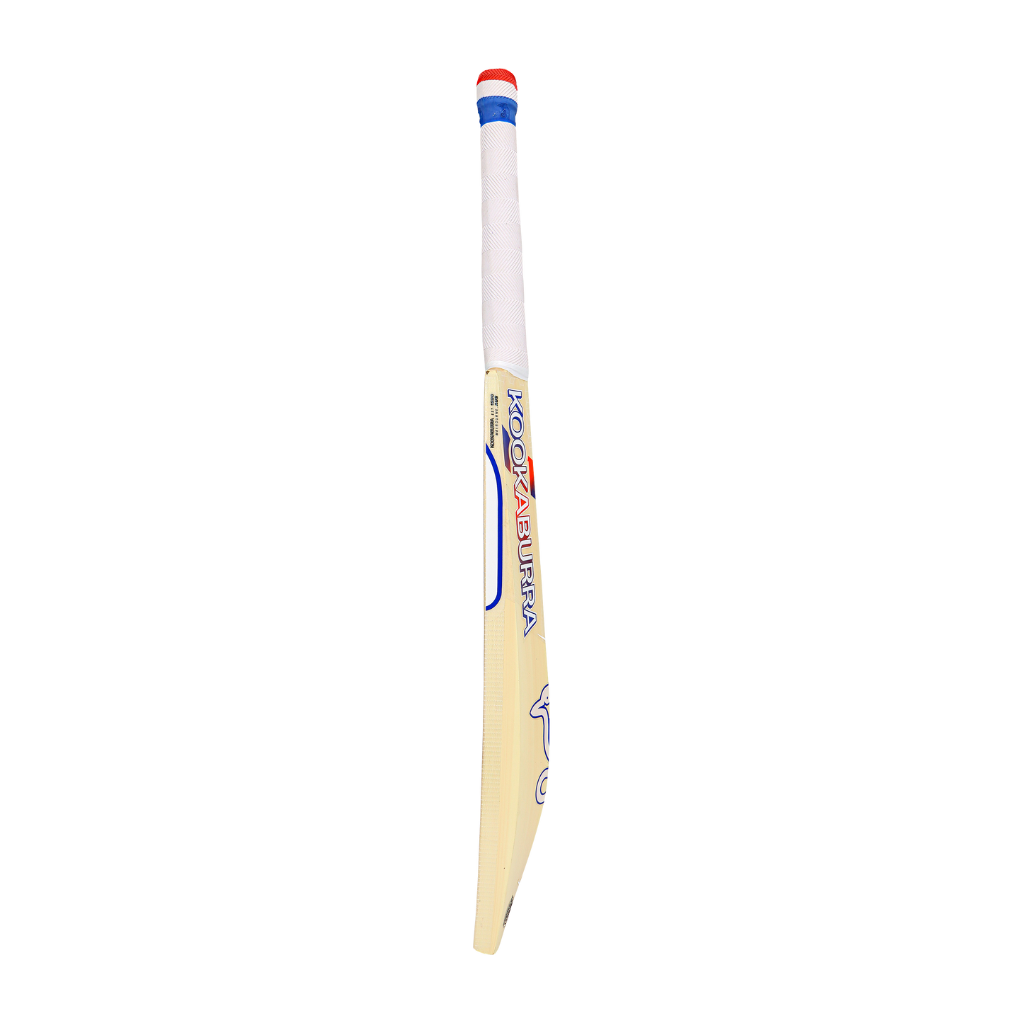 KOOKABURRA RAPID 6.5 FORCE BAT
