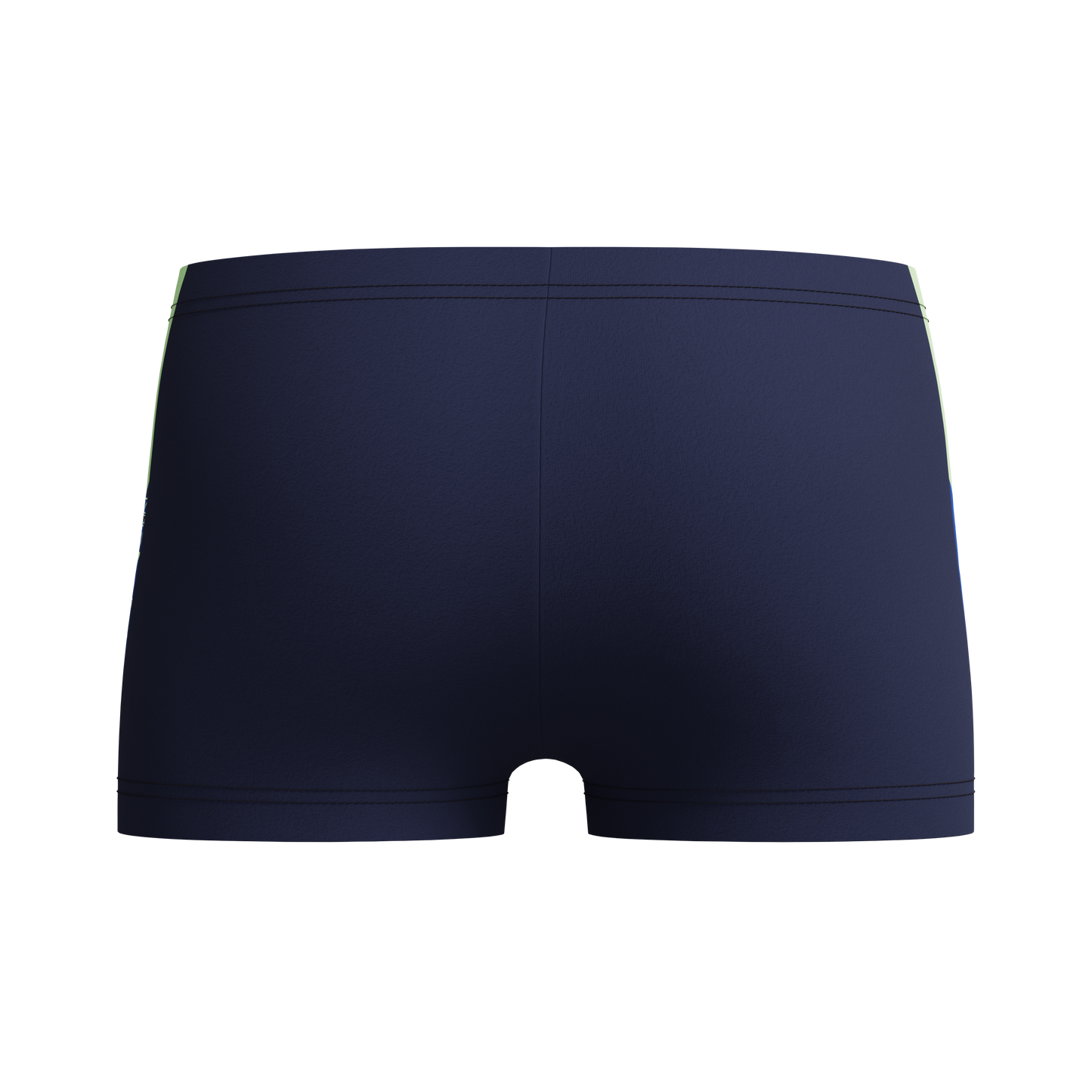 SPEEDO BOYS DIVE AQUASHORTS