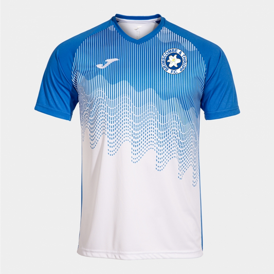 BRIMSCOMBE & THRUPP FC TIGER VI HOME SHIRT JNR