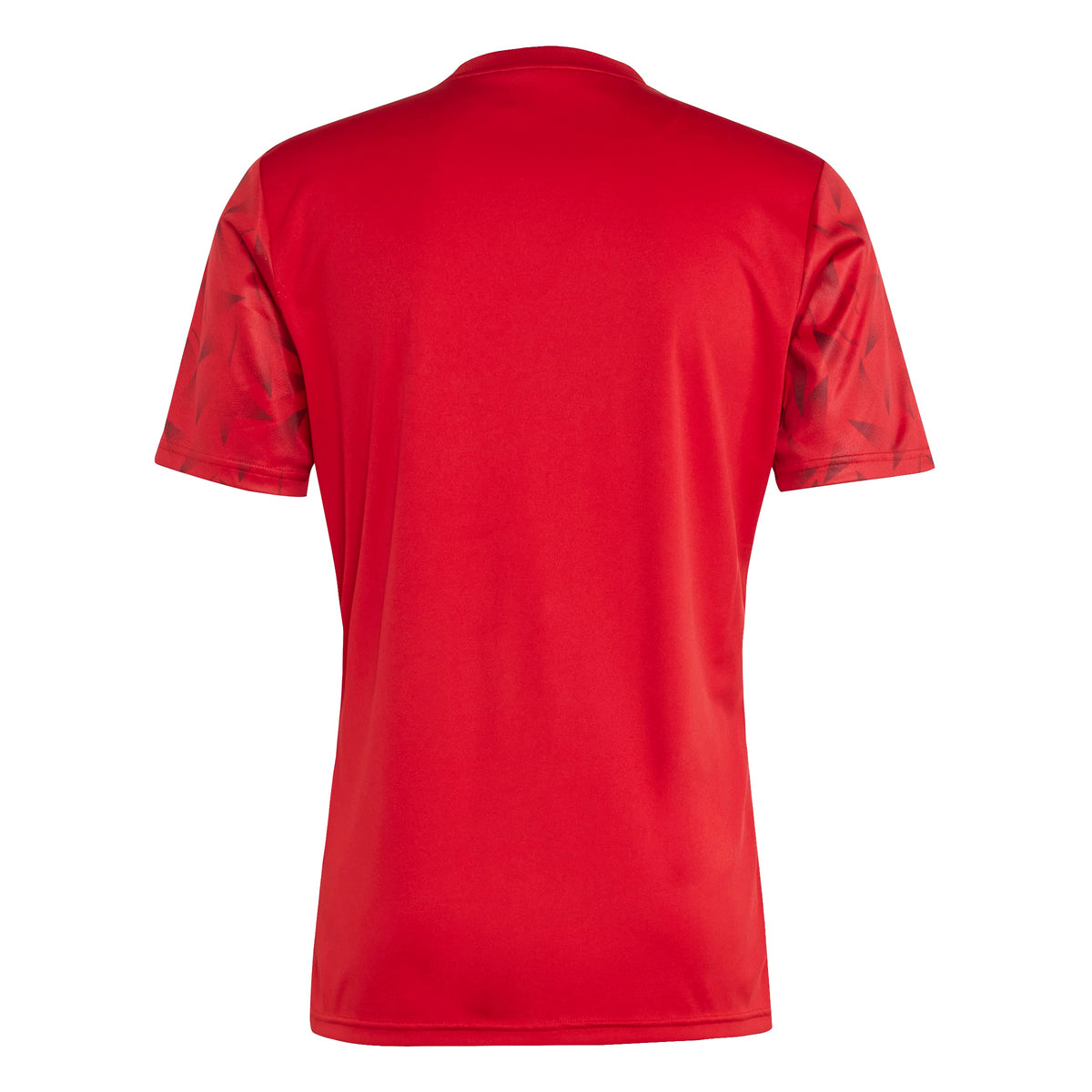 CLANFIELD FC TEAM ICON 25 S/S HOME SHIRT - SNR