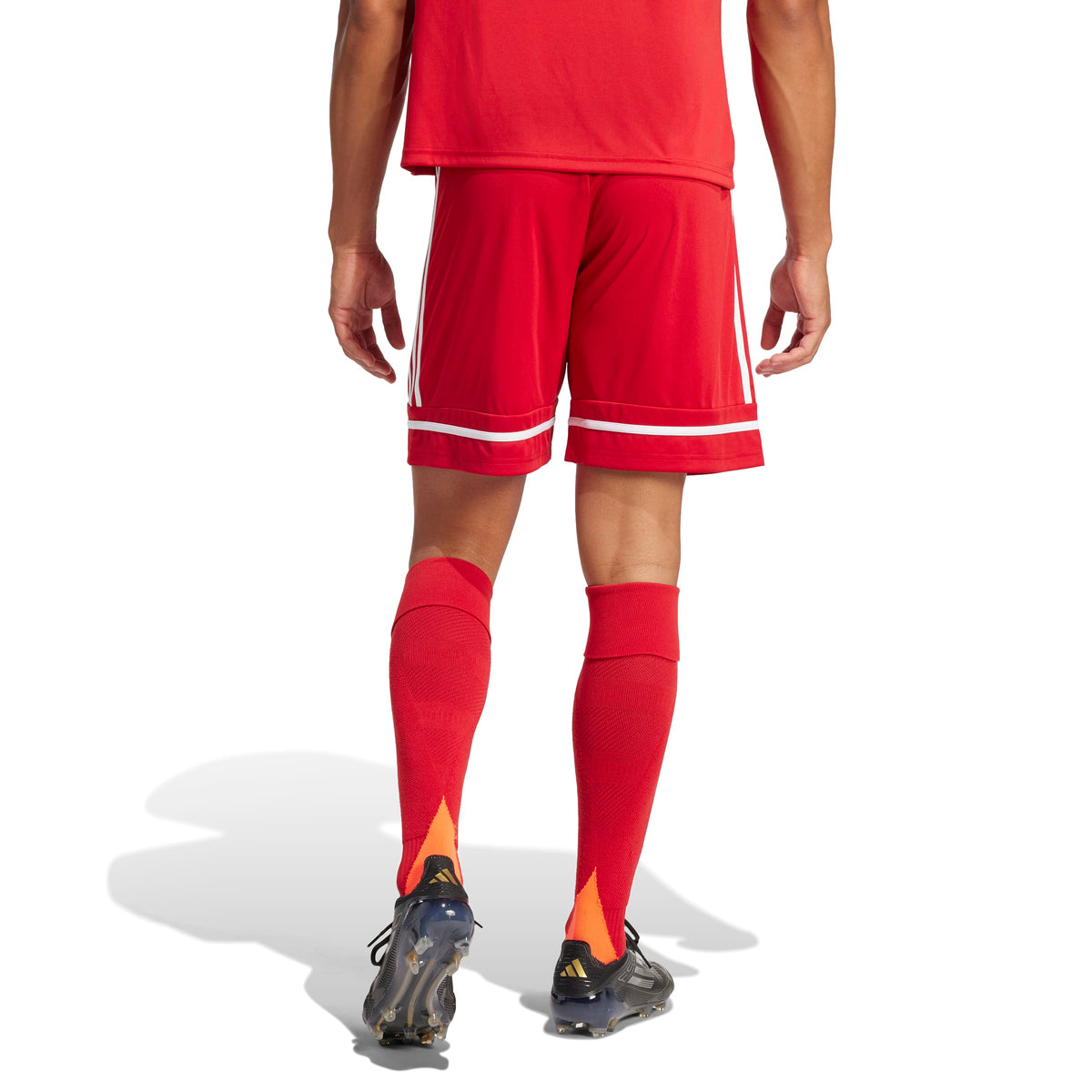 CLANFIELD FC SQUADRA 25 HOME SHORT OPTION 2 - SNR