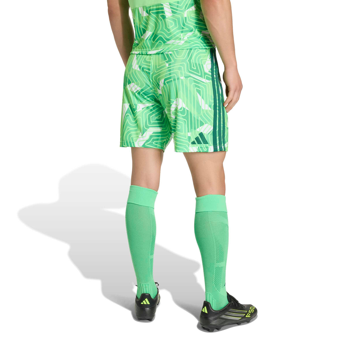 CLANFIELD FC TIRO 26 HOME GOALKEEPER SHORTS - SNR