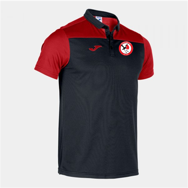 CHALFORD AFC HOBBY II POLO SHIRT - SNR